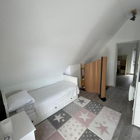 Modern House Close To Basel, Freiburg, Mulhouse, Europa-Park Villa Chalampe Ngoại thất bức ảnh